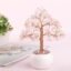 Feng Shui tree 